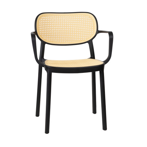Resin Chair · CMCH-HB298C