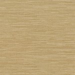 Selection CMFS-56NL5G4